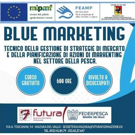 Blue Marketing – Tecnico Marketing